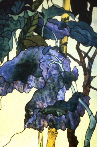 Amazonian Window - Detail