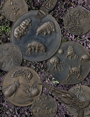 Open Lands Installation